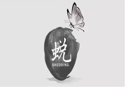 尋找我的“奶酪”——初一新生適應