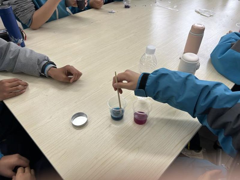 《自制酸堿指示劑》——新鄉(xiāng)市第十中學(xué)化學(xué)組科學(xué)教育優(yōu)秀課例展評（二）