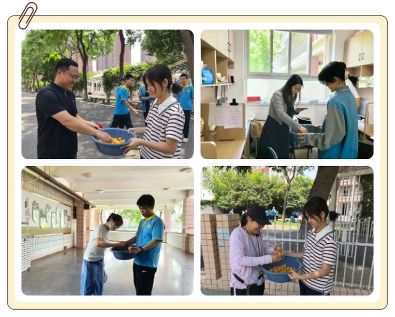 手擷枇杷嘗甜果 筆戰(zhàn)中考折桂枝